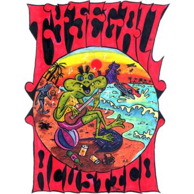 Ty Segall (Acoustic)