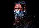 The White Buffalo