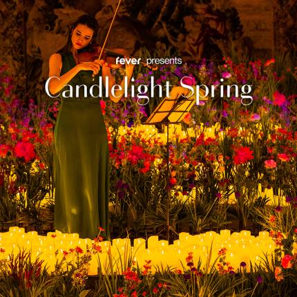 Candlelight Spring Tribut an ABBA