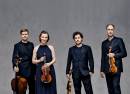 Signum Quartett
