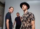 Maximo Park