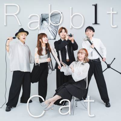 Rabbit Cat