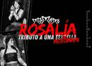 MOTOMAMI, un tributo a Rosalía