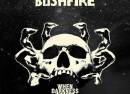 Bushfire