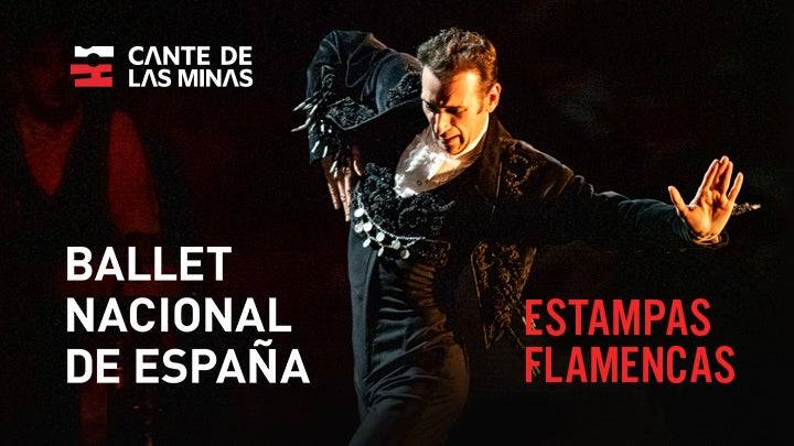 Ballet Nacional de España
