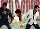 Chris Macdonald's Memories of Elvis