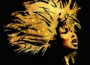 Tina - The Tina Turner Musical