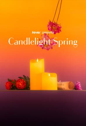 Candlelight Jazz A Jazz Tribute to Frank Sinatra