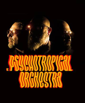 Psychotropical Orchestra