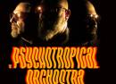 Psychotropical Orchestra