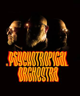 Psychotropical Orchestra