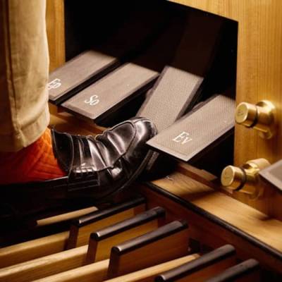 Stephansdom Konzert der Riesenorgel