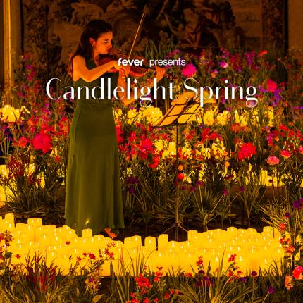 Candlelight Spring Best of QUEEN & ABBA im auf der MS Bleichen