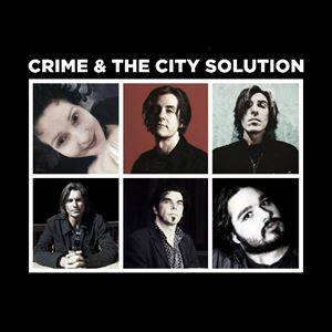 Crime & the City Solution