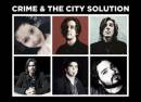 Crime & the City Solution