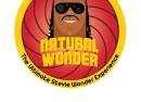 Natural Wonder - the Stevie Wonder Experience