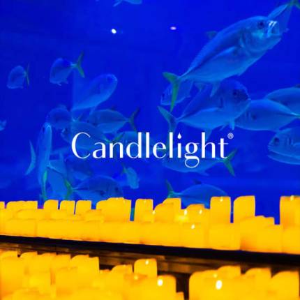 Candlelight  Tribute to Arijit Singh at VGP Marine Kingdom