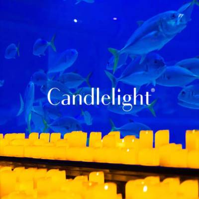 Candlelight  Tribute to Arijit Singh at VGP Marine Kingdom