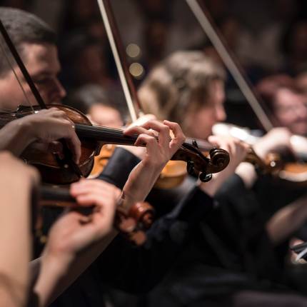 Vivaldi's Four Seasons & The Lark Ascending at St Patrick's Cathedral