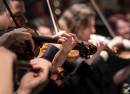Vivaldi's Four Seasons & The Lark Ascending at St Patrick's Cathedral