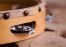 The Sharon Shannon Band