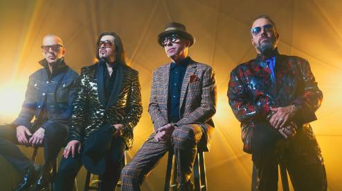The Mavericks