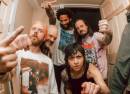 Cancer Bats