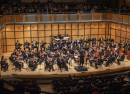 Mandle Philharmonic