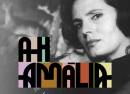 Ah Amália - Living Experience Porto