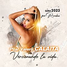 Calaíta