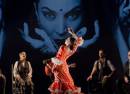 Flamenco para ti