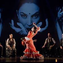 Flamenco para ti