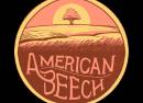American Beech