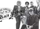 The Black Sorrows