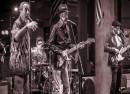 Vince Giordano And The Nighthawks