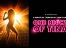 Tina Turner Tribute