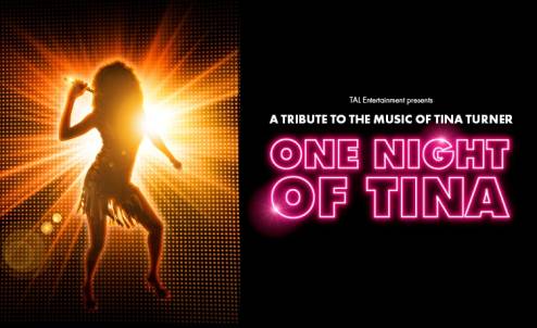 Tina Turner Tribute