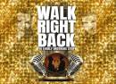 Walk Right Back – The Everly Brothers Story