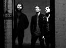 The Sees