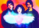 The Velveteers