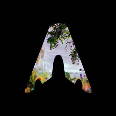 Finding Amelia