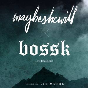 Maybeshewill