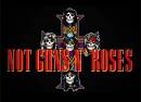 Not Guns 'n' Roses