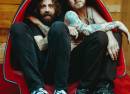 Paradise Vultures