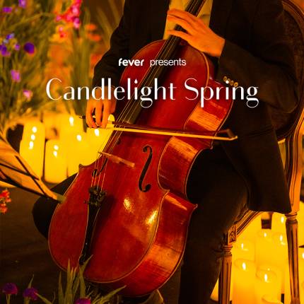 Candlelight Spring Queen meets ABBA in der Aula Carolina