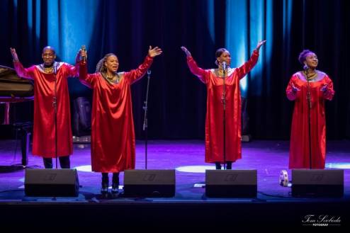 Advent Gospel