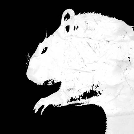 Mike V & The Rats