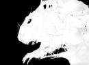 Mike V & The Rats