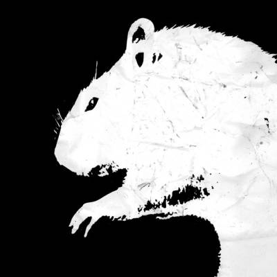 Mike V & The Rats