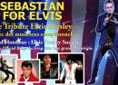 A Tribute to Elvis
